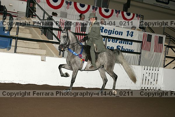 Proof Number r14-04_0211